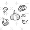 Garlic-Vintage Garlic-Cooking Lover Gifts-Natural Antibiotic Tote Bag Official Cooking Merch